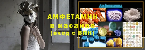 ГАЛЛЮЦИНОГЕННЫЕ ГРИБЫ Новозыбков