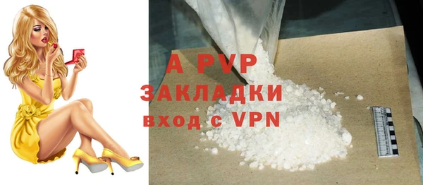 ПСИЛОЦИБИНОВЫЕ ГРИБЫ Нея