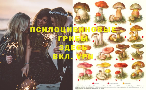 ПСИЛОЦИБИНОВЫЕ ГРИБЫ Нея