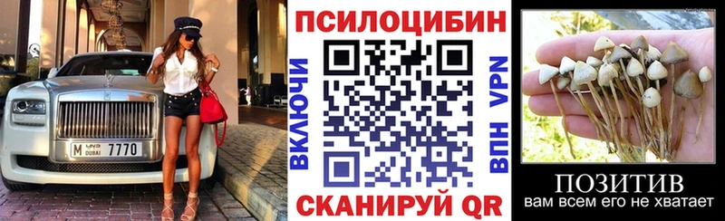 Купить где  Алушта  Галлюциногенные грибы мицелий 